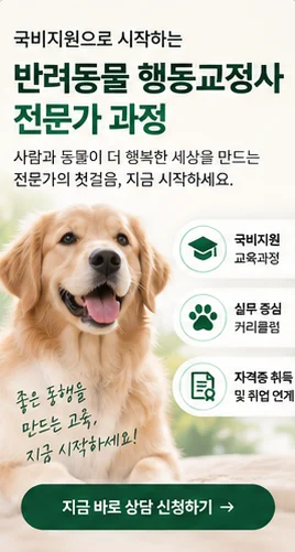 반려동물 교육 과정 수강생 모집 광고